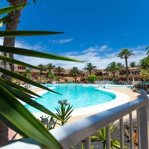 Alicebungalowpoolview-summer , Corralejo España